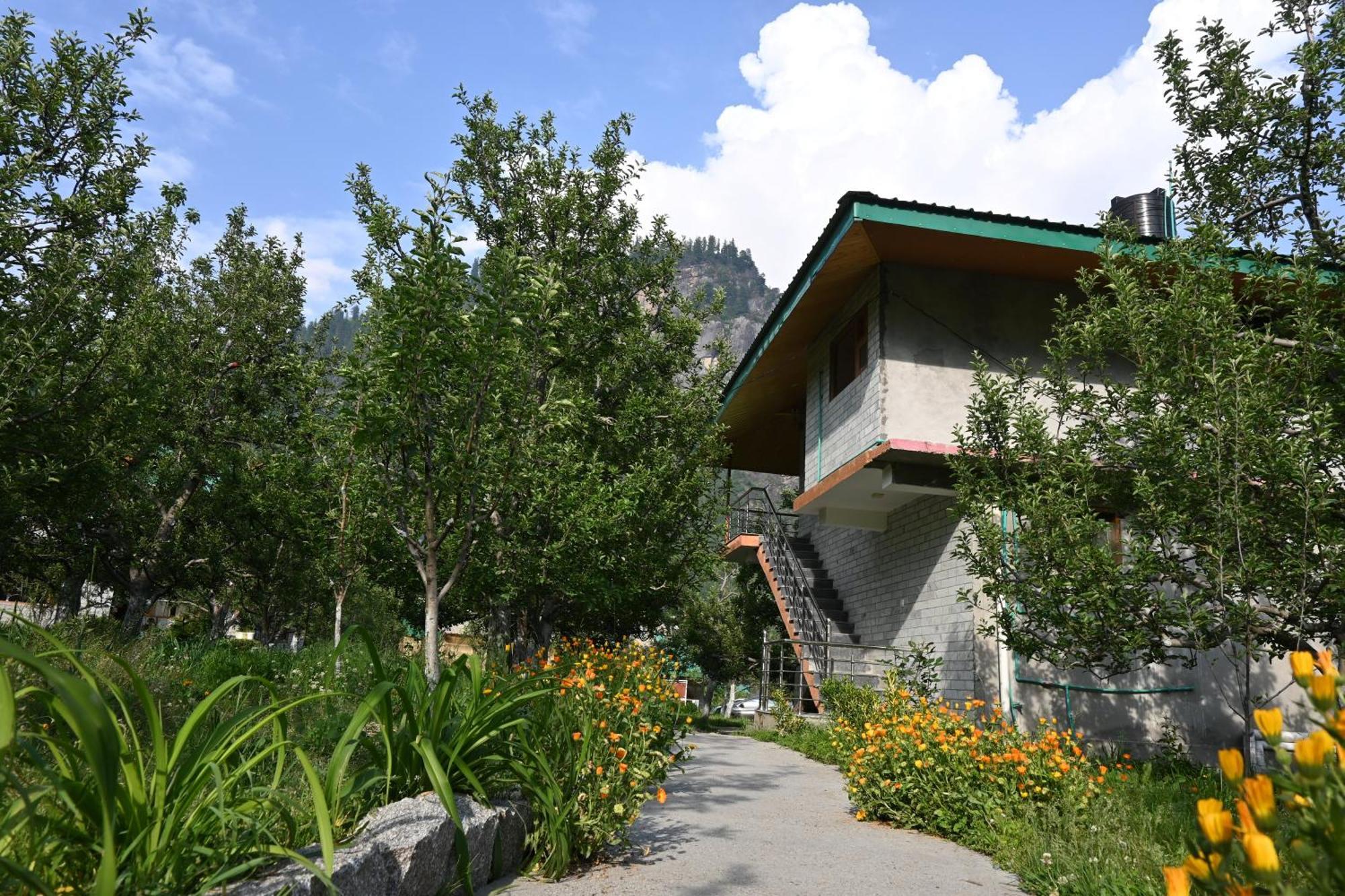Cascade Mountain Retreat Manali Bed & Breakfast Dış mekan fotoğraf