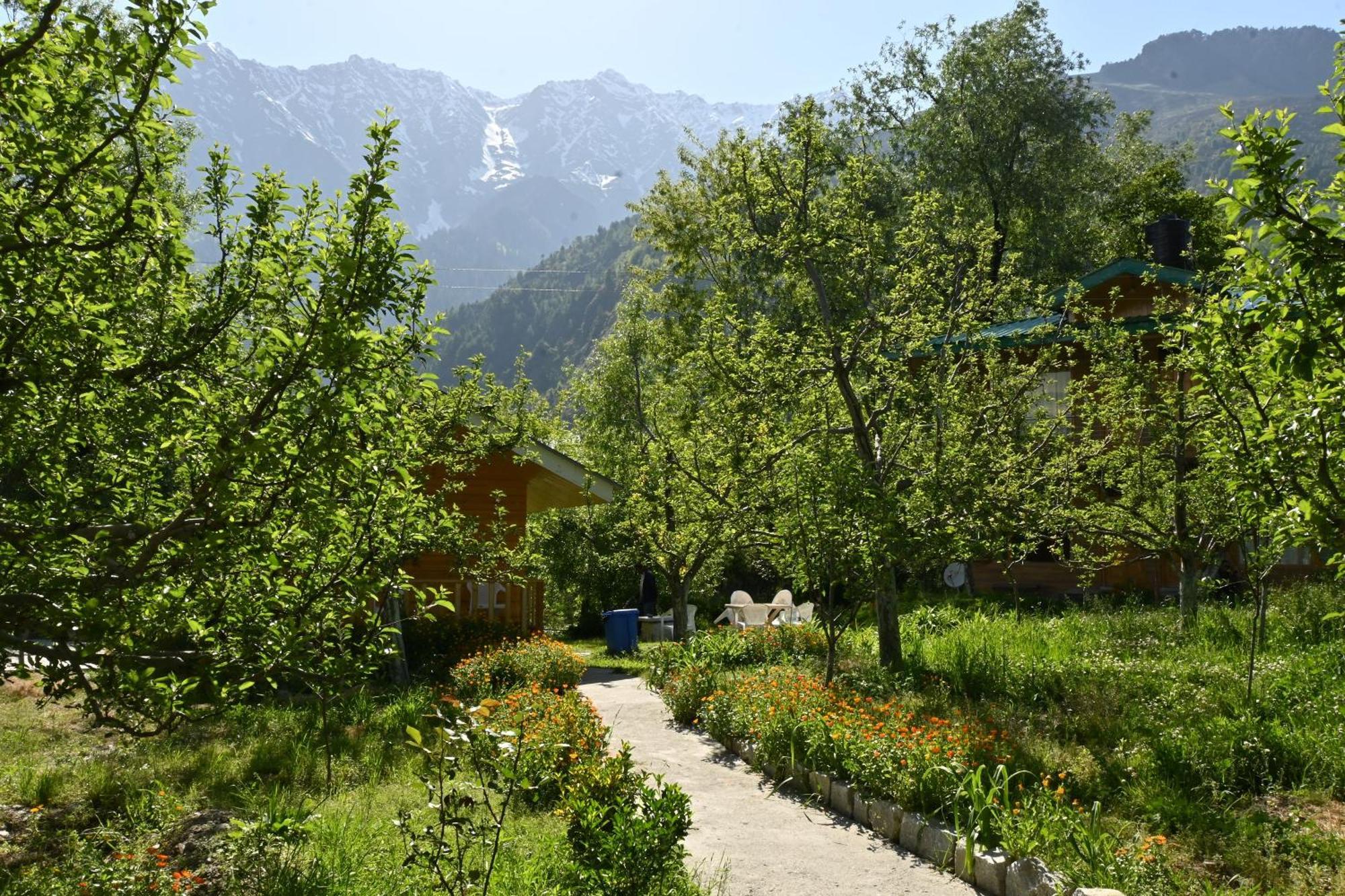 Cascade Mountain Retreat Manali Bed & Breakfast Dış mekan fotoğraf