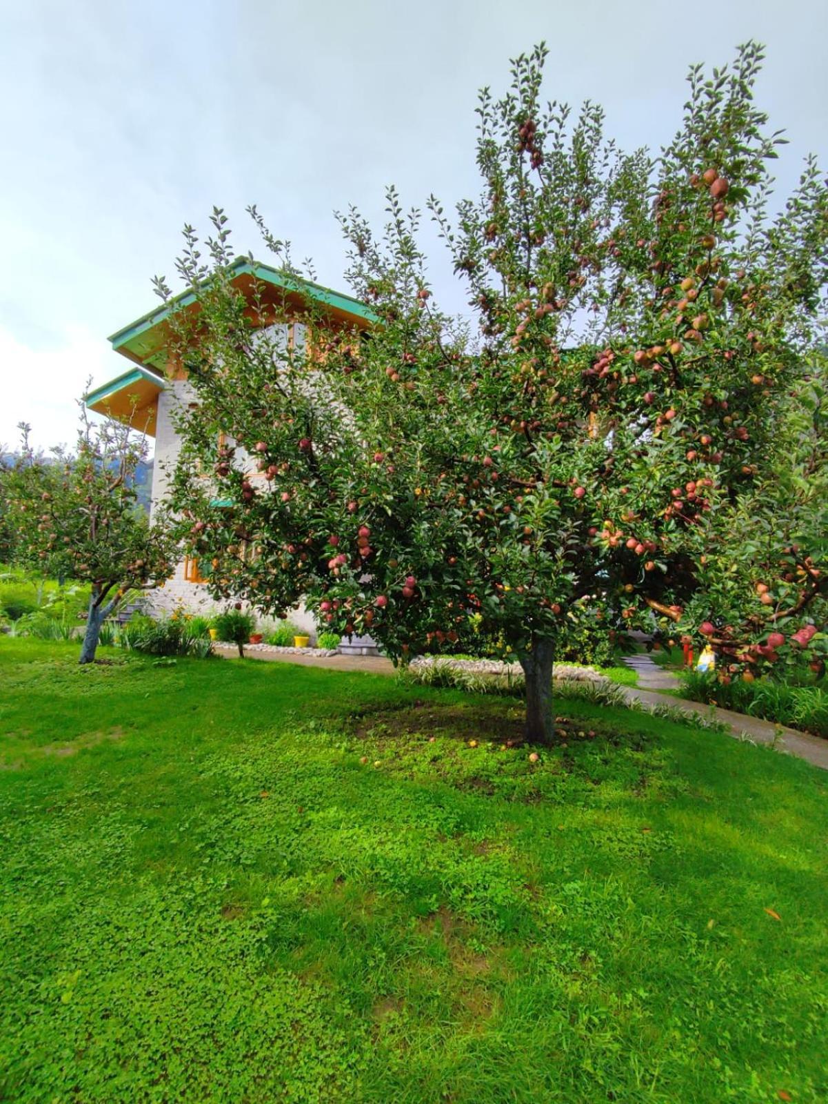 Cascade Mountain Retreat Manali Bed & Breakfast Dış mekan fotoğraf