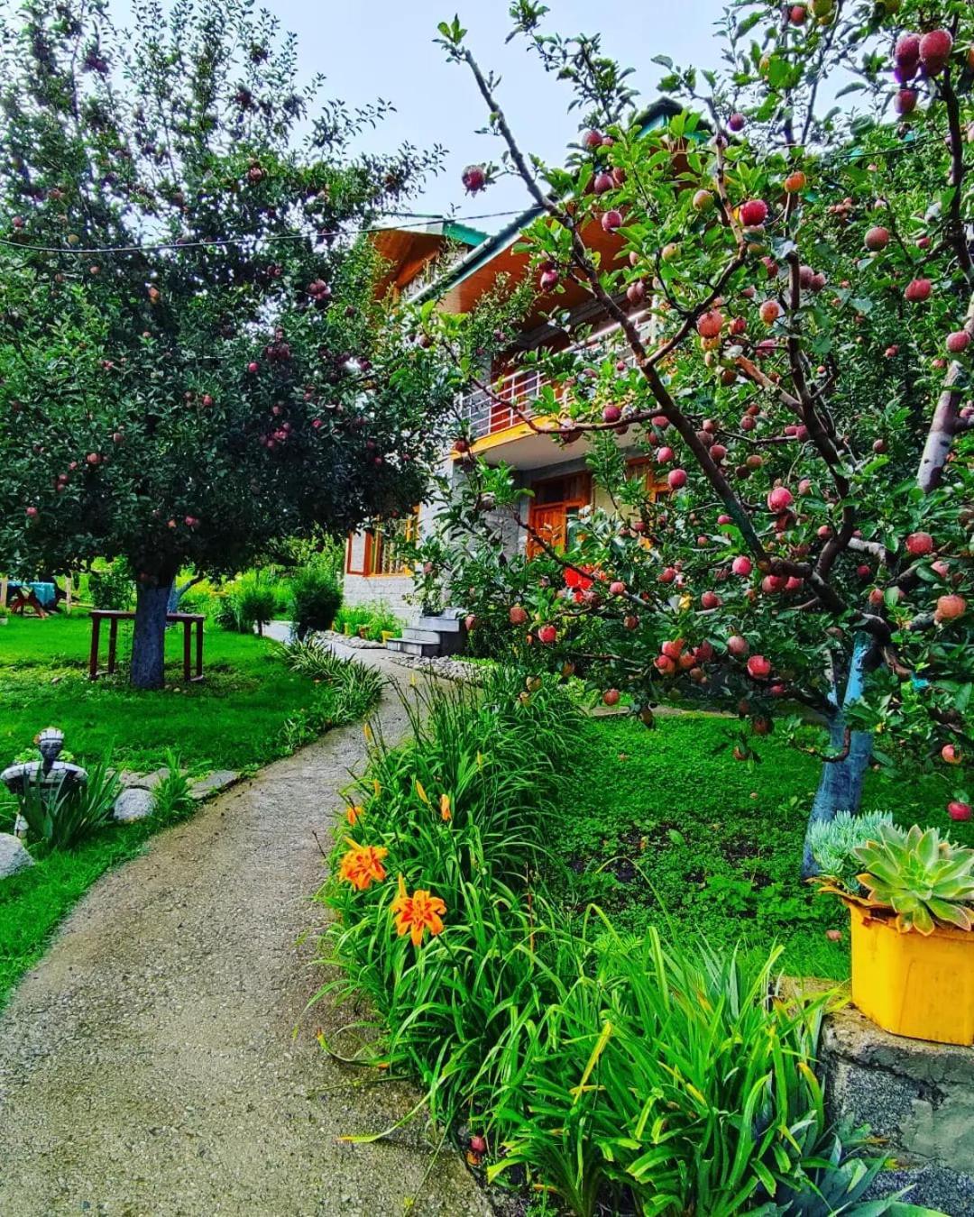 Cascade Mountain Retreat Manali Bed & Breakfast Dış mekan fotoğraf